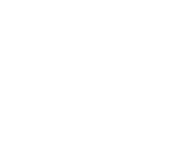 icon checklist