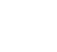 icon finance