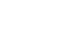 icon risk management